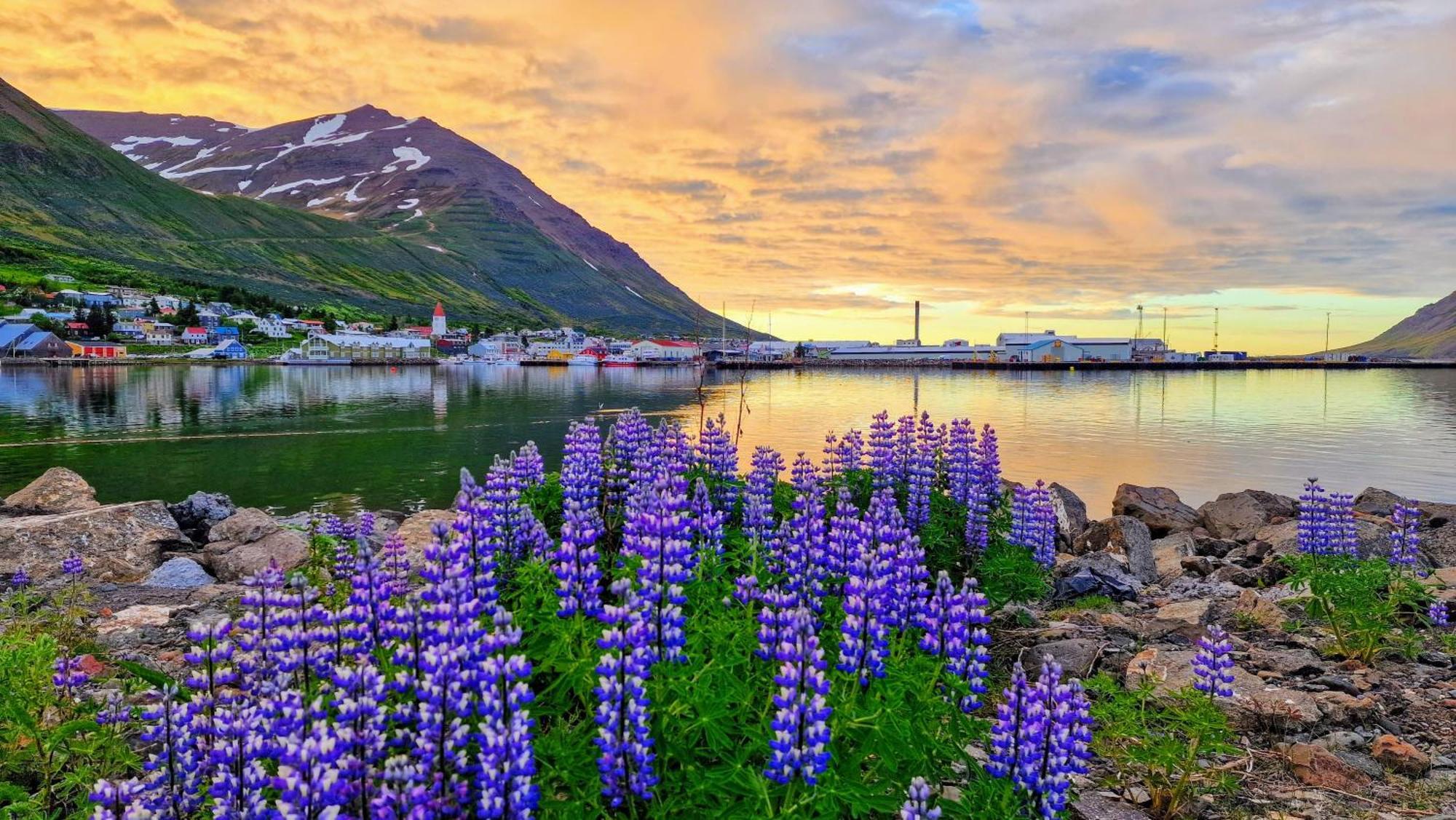 Landakot The Perfect Getaway By Staynorth Siglufjordur Bagian luar foto